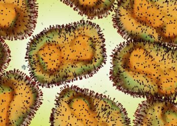 monkeypox New strain: ಮಂಕಿಪಾಕ್ಸ್ ನೂತನ ತಳಿ  ಗುರುತಿಸಿದ  ಬ್ರಿಟನ್