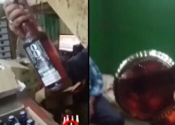 Andra Pradesh: ಮದ್ಯದ ಬಾಟಲಿಯಲ್ಲಿ ಹಾವಿನ ಮರಿ ಪತ್ತೆ… 