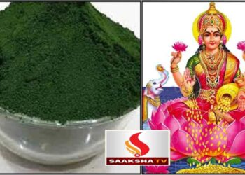 ಶುಕ್ರವಾರದ ಪೂಜೆಯೊಂದಿಗೆ ಈ 3 ಹಸಿರು ವಸ್ತುಗಳನ್ನು ಸೇರಿಸಿದರೆ ಲಕ್ಷ್ಮಿ ಕಟಾಕ್ಷ ಹೆಚ್ಚಾಗುತ್ತದೆ. ಜೀವನವು ಶ್ರೀಮಂತವಾಗಿದೆ.