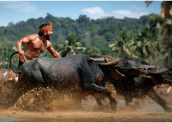 Kantara: ಕಂಬಳದ ಕೋಣ ಓಡಿಸಲು ಶೆಟ್ರ ಪರಿಶ್ರಮ – ಕಾಂತಾರ ಮೇಕಿಂಗ್ ವಿಡಿಯೋ… 