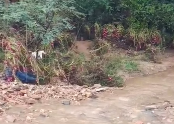 Chitradurga Onion crop washed away