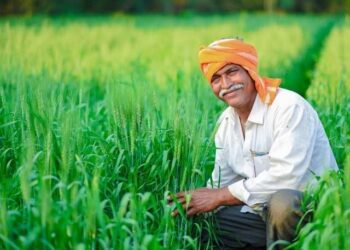 PM Kisan Mandhan Yojana : ಸಣ್ಣ ರೈತರ ರಕ್ಷಣೆಗೆ ಸರ್ಕಾರದಿಂದ  ಪಿಂಚಣಿ ಯೋಜನೆ  