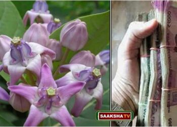 trick for earn money in kannada