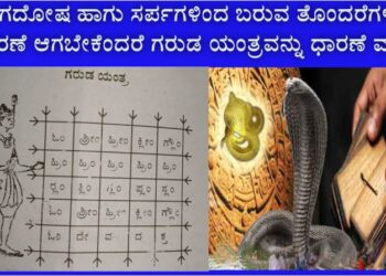 ನಾಗದೋಷ ಹಾಗೂ ಸರ್ಪಗಳಿಂದ ಬರುವ ತೊಂದರೆಗಳು ನಿವಾರಣೆ ಆಗಬೇಕೆಂದರೆ ಗರುಡ ಯಂತ್ರವನ್ನು ಧಾರಣೆ ಮಾಡಿ..