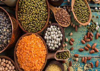 ಕೃಷಿ-ದ್ವಿದಳ ಧಾನ್ಯಗಳನ್ನು ಹೇಗೆ ಬೆಳೆಯುವುದು…? ಬೀನ್ಸ್ ಮತ್ತು ಬಟಾಣಿಗಳನ್ನು ಬೆಳೆಯಲು 8 ಸಲಹೆಗಳು