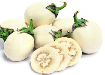 Health-ಬದನೆಕಾಯಿ ಅಂದ್ರೆ ನಿಮಗೆ ಇಷ್ಟಾ ಇಲ್ಲವಾ..! ಹಾಗಿದ್ದರೆ ಈ  ಮಾಹಿತಿ ನಿಮಗಾಗಿ.