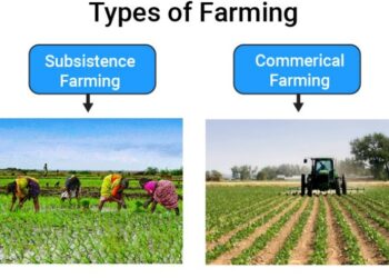 Types of Agricultural Practices-ಕೃಷಿ ಬಗ್ಗೆ ನಿಮಗೆ ಈ ವಿಷಯಗಳು ಗೊತ್ತೆ…? ಭಾಗ 01