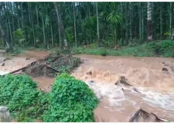 Rain: ದಾವಣಗೆರೆಯಲ್ಲಿ ಸುರಿದ ಭಾರಿ ಮಳೆ – ತಗ್ಗು ಪ್ರದೇಶಗಳಿಗೆ ನುಗ್ಗಿದ ನೀರು..