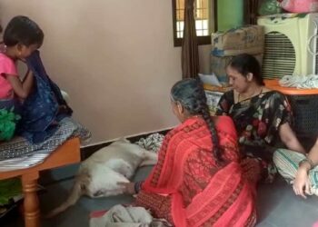 Dog dies-ಕ್ಯಾಂಡಿ ಗಾಗಿ ಬಿಕ್ಕಿ ಬಿಕ್ಕಿ ಅತ್ತ ಕುಟುಂಬ