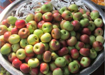 Bihar | ದೇವಿಗೆ ಅರ್ಪಿಸಲಿಟ್ಟಿದ್ದ ಸೇಬು ತಿಂದಿದ್ದಕ್ಕೆ ವಿದ್ಯಾರ್ಥಿಯ ಕೊಲೆ