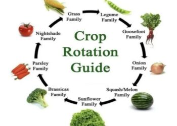Types of Agricultural Practices-ಕೃಷಿ ಬಗ್ಗೆ ನಿಮಗೆ ಈ ವಿಷಯಗಳು ಗೊತ್ತೆ…? ಭಾಗ-3