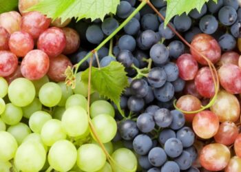Benefits of Grapes
