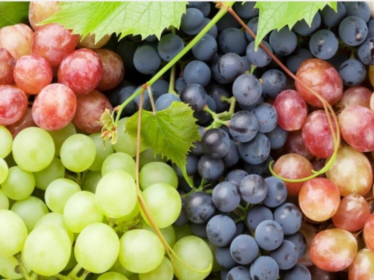 Benefits of Grapes