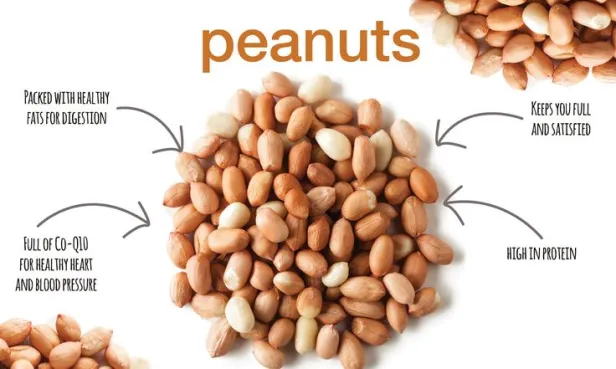 Health Benefits of Peanuts-ಶೆಂಗಾ10 ಆರೋಗ್ಯ ಪ್ರಯೋಜನಗಳು