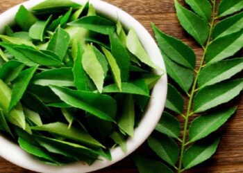 Curry Leaves