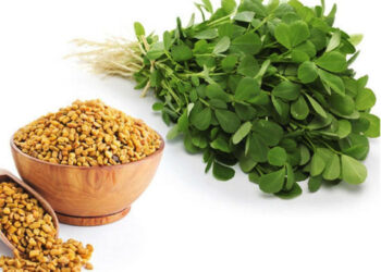 Health Benefits of Mentha