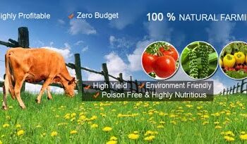 Types of Agricultural Practices-ಕೃಷಿ ಬಗ್ಗೆ ನಿಮಗೆ ಈ ವಿಷಯಗಳು ಗೊತ್ತೆ…? ಭಾಗ-2