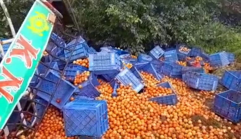 300 boxes of tomato ruin-೩೦೦ ಬಾಕ್ಸ ಟೊಮೇಟೊ ಮಣ್ಣು ಪಾಲು