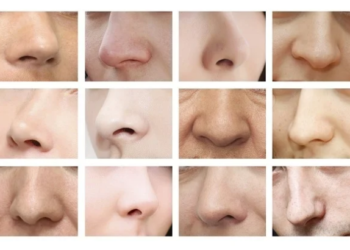 nose-ನಿಮಗೆ ನಿಮ್ಮ ಮೂಗಿನ ಬಗ್ಗೆ ಗೊತ್ತಿದೆಯೇ