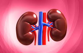Kidney -ಕಿಡ್ನಿಯ ರಾಳ ಸಮಸ್ಯೆ ಬಗ್ಗೆ ಇಲ್ಲಿದೆ ಮಾಹಿತಿ