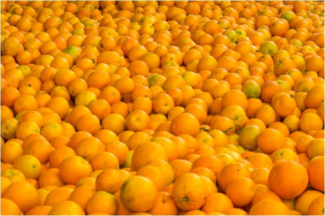 orange ಭಾರತೀಯ ಕಿತ್ತಳೆ ಮೇಲಿನ ಆಮದು ಸುಂಕ ಹೆಚ್ಚಳ