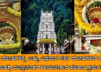 Astrology : ಯಾರು ಯಾವ ಸಂದರ್ಭದಲ್ಲಿ ಯಾಕೆ ಸರ್ಪ ಸಂಸ್ಕಾರ ಮಾಡಬೇಕು