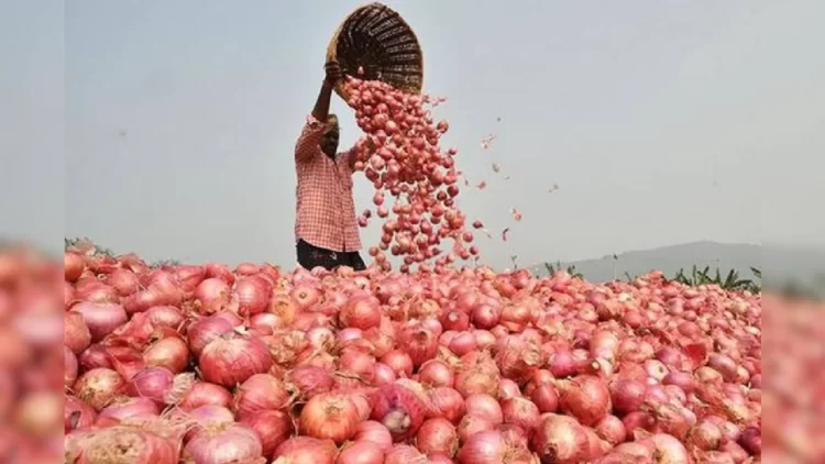 Onion price down