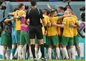 fifa worldcup , denmark , australia