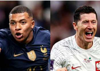 fifa worldcup poland france