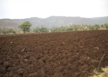 fertilize the soil -ಮಣ್ಣು ಫಲವತ್ತಾಗಿಸಲು  ಸರ್ಕಾರದ  ಹೊಸ ಯೋಜನೆ