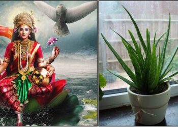 Astrology , jyothishya