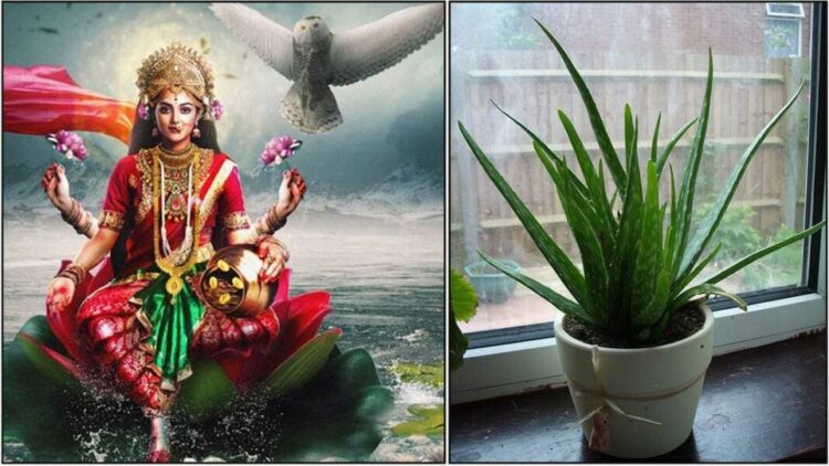 Astrology , jyothishya