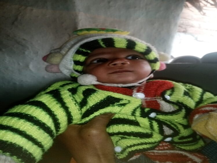 Uttar pradesha Monkey