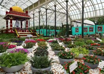 Lalbag flower show