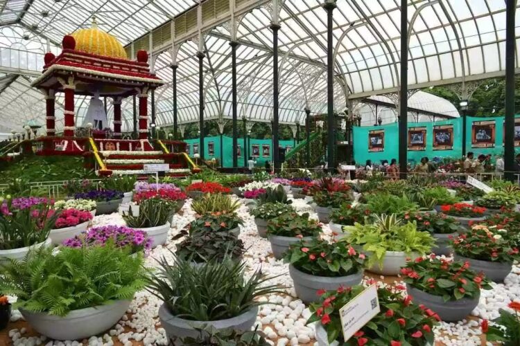 Lalbag flower show