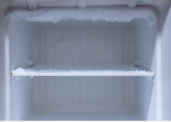 freezer