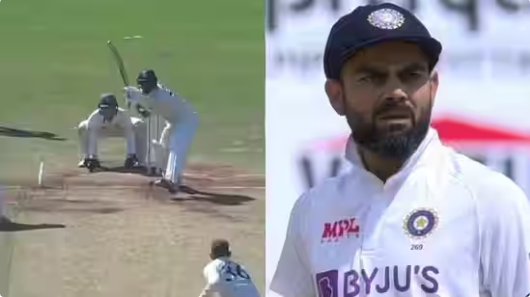 shami kohli