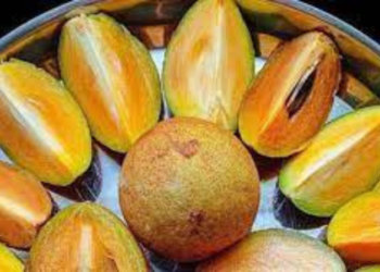 ಚಿಕ್ಕು ಹಣ್ಣು ಮಾರಿ ಸಖತ್ ಸಂಪಾದನೆ