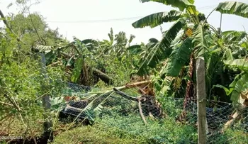 ರಾಜ್ಯದಲ್ಲಿ ಮಳೆಯಿಂದಾಗಿ ಇಲ್ಲಿಯವರೆಗೆ 52 ಜನ ಬಲಿ