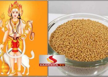 ಹೀಗೆ ಮನೆಯಲ್ಲಿ ಚಿಕ್ಕ ಅನುಷ್ಠಾನದ ವಿಧಾನ ಮಾಡಿ ಹೊರಗಿನಿಂದ ಯಾವ ಸಮಸ್ಯೆಯೂ ಮನೆಯೊಳಗೆ ಬರುವುದಿಲ್ಲ.