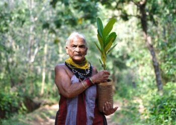 ವೃಕ್ಷಮಾತೆಗೆ ಒಲಿದು ಬಂದ ಗೌರವ ಡಾಕ್ಟರೇಟ್