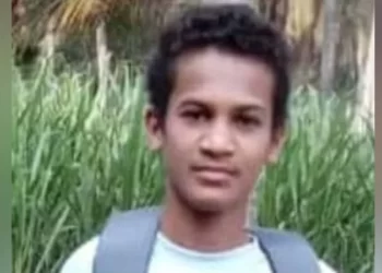 ತೆಂಗಿನಕಾಯಿ ಗೊಂಚಲು ಬಿದ್ದು ಬಾಲಕ ಸಾವು