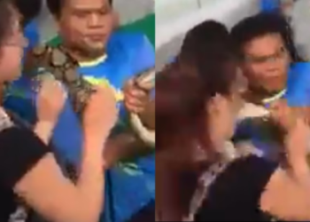 ವಿಷಸರ್ಪ ಹಾವಿಗೆ ಕಿಸ್‌ : ಯುವತಿಗೆ ಶಾಕ್