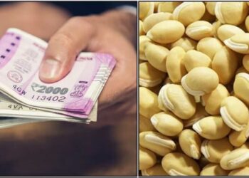 ಕೊಟ್ಟ ಹಣ ನಿಮ್ಮ ಹಣ ನಿಮ್ಮ ಕೈಗೆ ಸೇರುವುದಿಲ್ಲ ಎಂದು ಚಿಂತಿಸುತ್ತಿದ್ದೀರಾ, ಹಣ ವಾಪಸ್ ಪಡೆಯಲು ಈ ರೀತಿ ಕೇವಲ ಆರು ಕಾಳುಗಳನ್ನು ಬಳಸಿದರೆ ಸಾಕು…