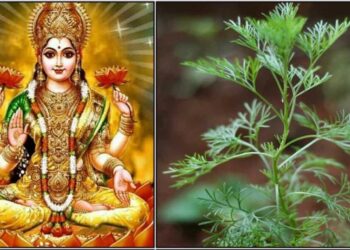 ಹಣದ ಪೆಟ್ಟಿಗೆಯಲ್ಲಿ ಹತ್ತು ರೂಪಾಯಿ ಹಾಕಿದರೂ ಸಾವಿರ ಹೆಚ್ಚಾಗುತ್ತದೆ ಈ ಎರಡು ವಸ್ತುಗಳನ್ನು ಹಾಕಿ ಸಾಕು. ಮನೆಯಲ್ಲಿ ದುಡ್ಡು ಇಲ್ಲದ ಪರಿಸ್ಥಿತಿ ಬರೋದಿಲ್ಲ