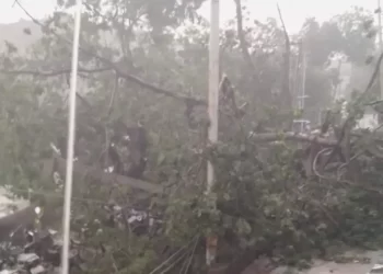 Heavy Rain: ಯಾದಗಿರಿ ಜಿಲ್ಲೆಯಲ್ಲಿ ಭರ್ಜರಿ ಮಳೆ