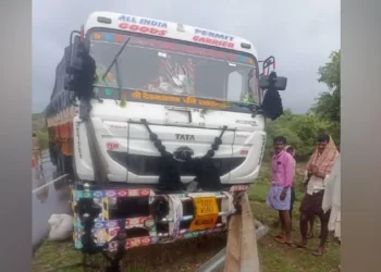 ಲಾರಿ ಹರಿದು 40ಕ್ಕೂ ಅಧಿಕ ಕುರಿಗಳು ಸಾವು