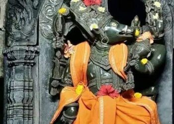 ಜಾತಕದಲ್ಲಿ ರಾಹು, ಕೇತುಗಳ ಪಾತ್ರ ಏನು?