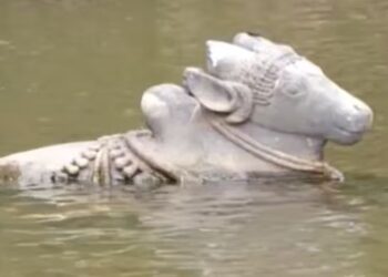 ನೀರಲ್ಲಿ ಕೊಚ್ಚಿ ಹೋದರೂ ಶಿವನ ಎದುರೇ ಕುಳಿತ ನಂದಿ!