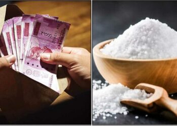 ಸಂಬಳ ಬಂದರೆ ಈ ಮೂರು ವಸ್ತುಗಳನ್ನು ಖರೀದಿಸಬೇಡಿ ಇದರಿಂದಾಗಿ ಹಣ ಕೈಯಲ್ಲಿ ಉಳಿಯದೆ ವ್ಯರ್ಥವಾಗುತ್ತದೆ.